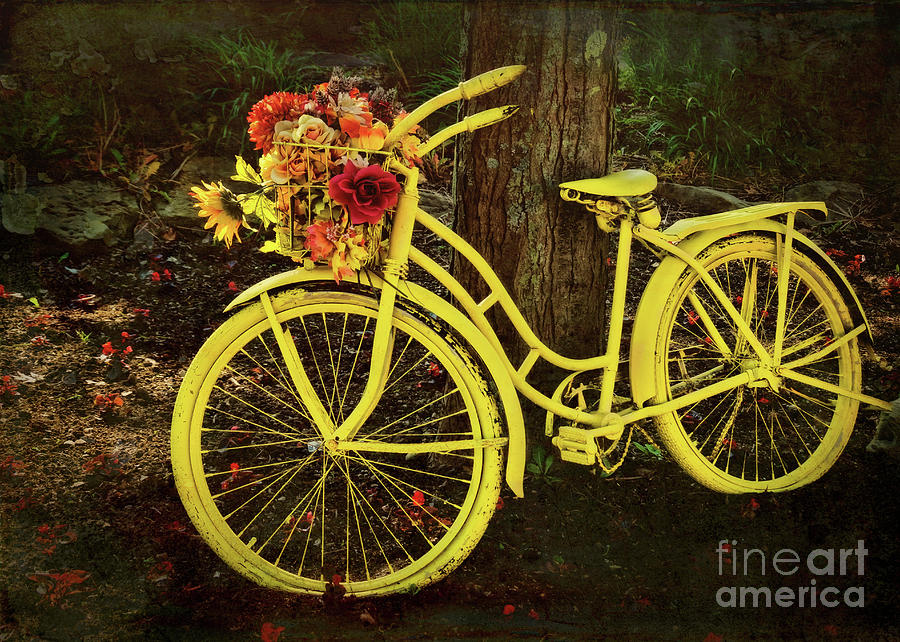 Spring Bicycle in Ohio Photograph by Janice Pariza