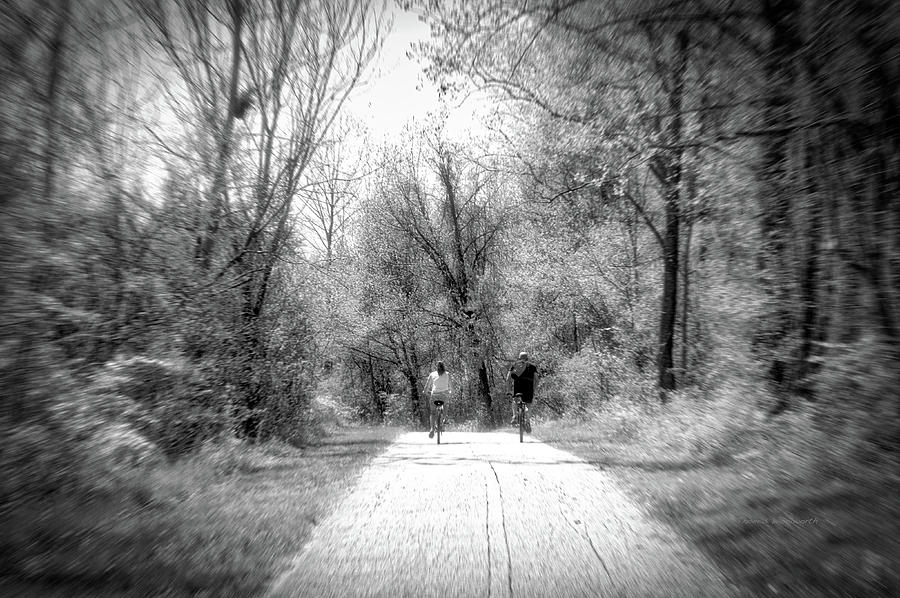 Spring Bike Ride On The Woodland Trail BW Photograph by Thomas Woolworth