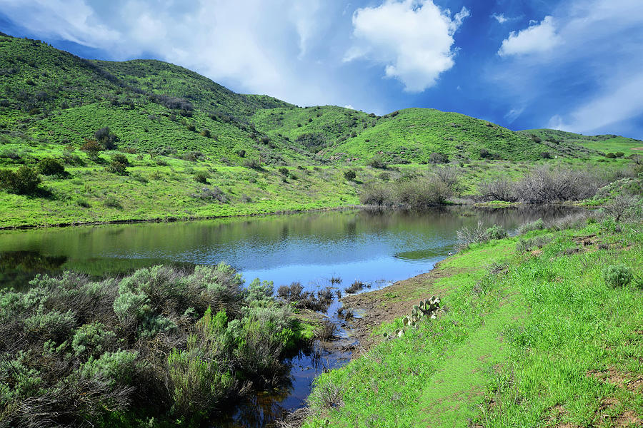 Spring Bliss in the Santa Monica Mountains Photograph by Lynn Bauer