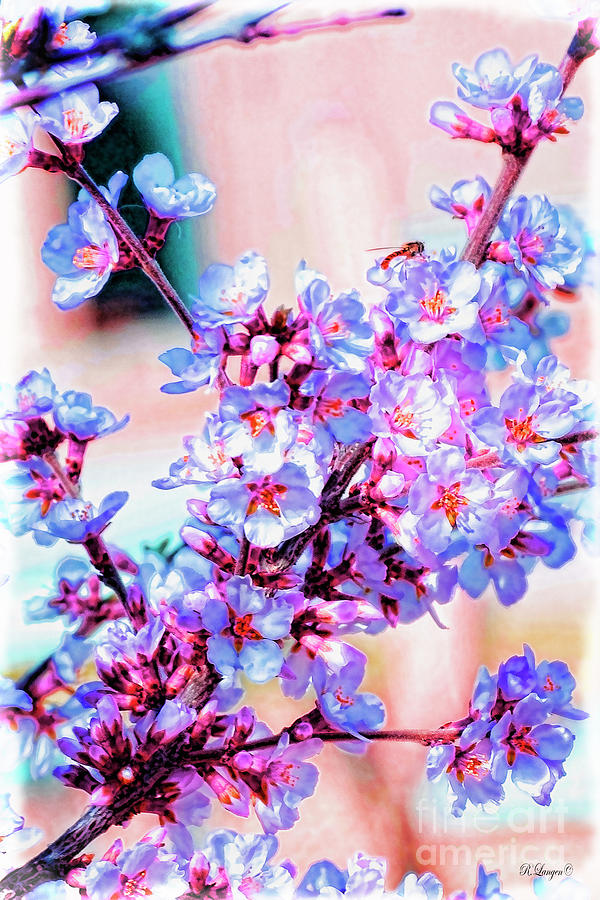 Spring Blooms Digital Art by Rebecca Langen
