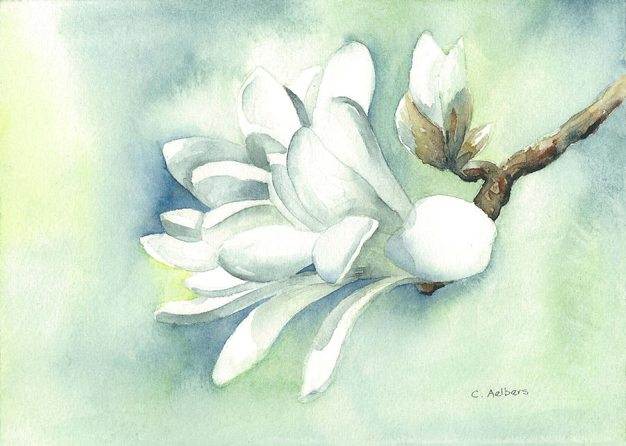 White Flower Painting - Spring Blossom by Corinne Aelbers