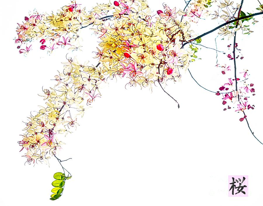 Spring Blossom Digital Art by Ian Gledhill