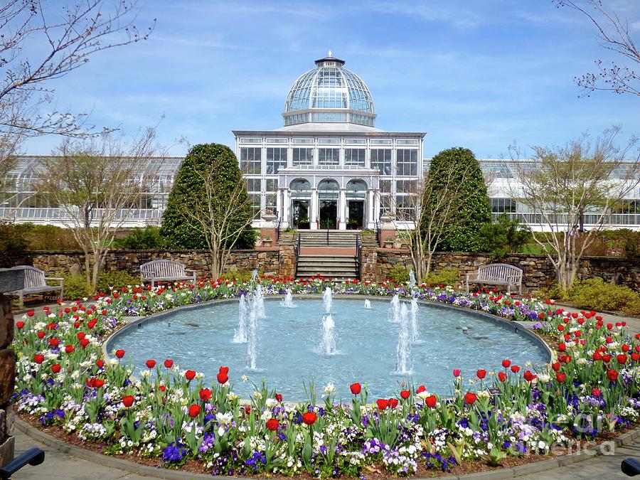 Spring Blossoms at the Conservatory Photograph by Jean Wright