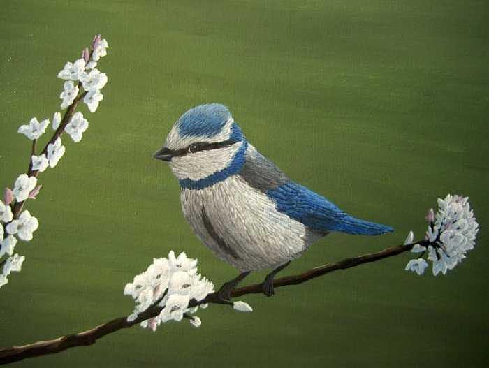 Spring Painting - Spring Blossoms by Cedric Colond