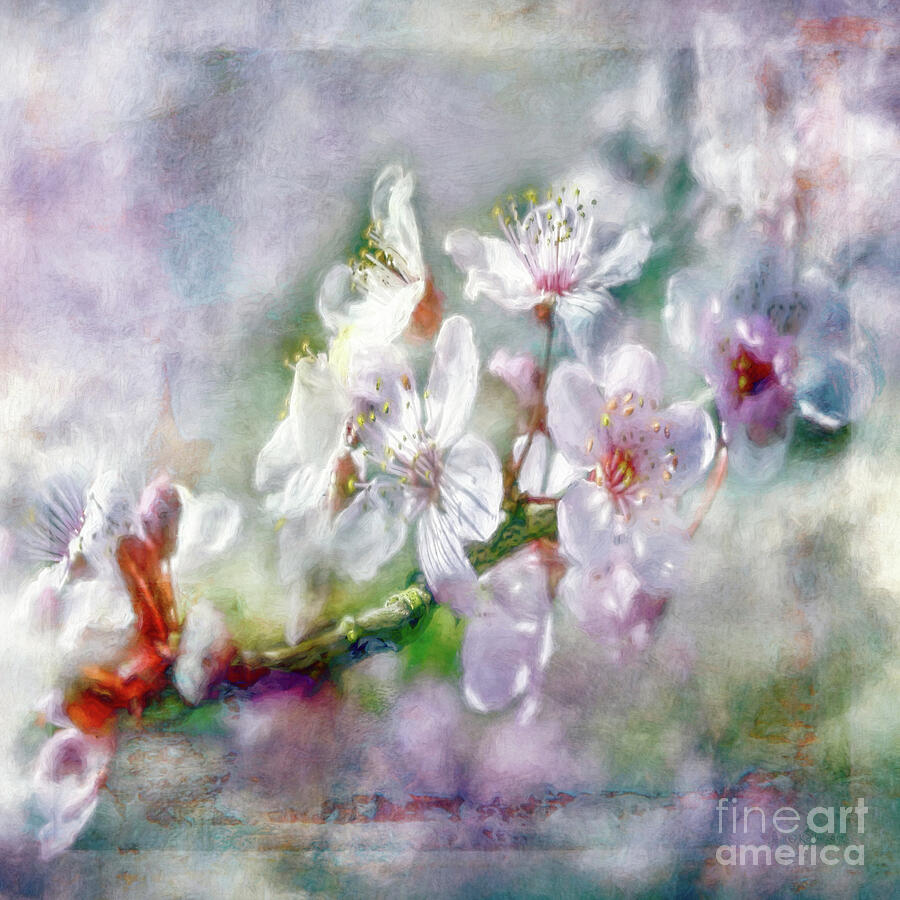 Nature Digital Art - Spring Blossoms by Jean OKeeffe Macro Abundance Art