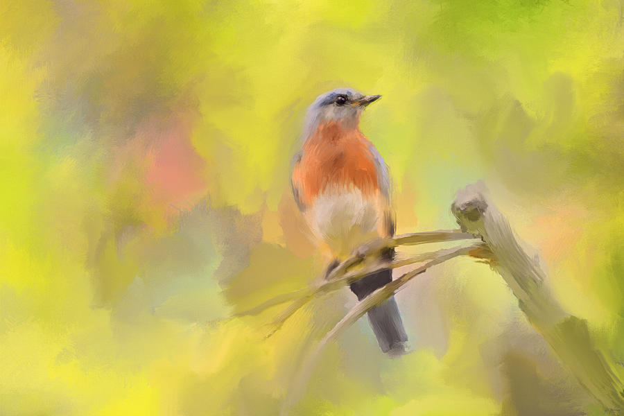 Bird Painting - Spring Bluebird Painting by Jai Johnson