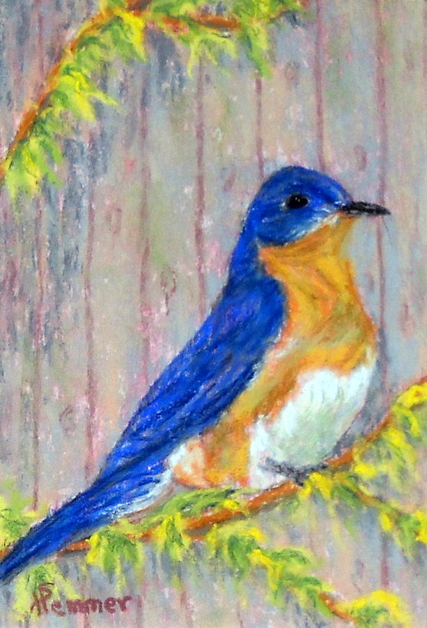Spring Bluebird Painting by Sandy Hemmer