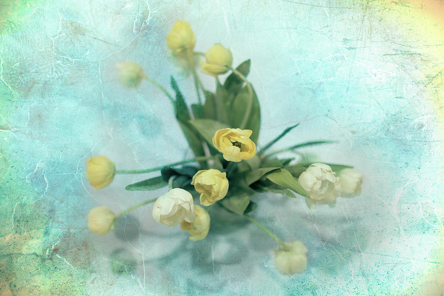 Spring Bouquet Photograph by Elvira Pinkhas