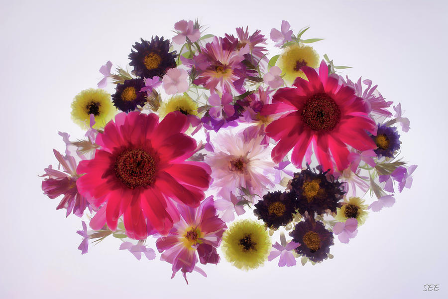 Spring Bouquet Photograph by Susan Eileen Evans
