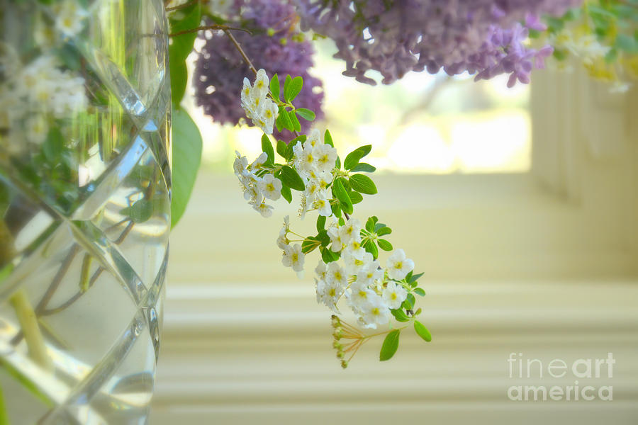 Spring Bouquet Photograph by Tatyana Searcy