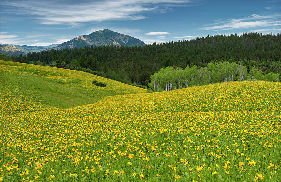 Escape to Idaho's Hidden Gem: Big Springs - Caribou National Forest