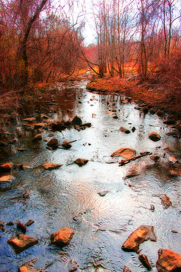 Spring Brook Photograph by Iryna Goodall