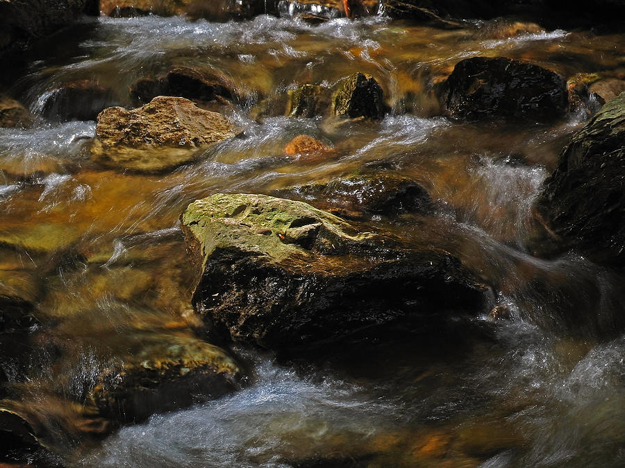 Spring Photograph - Spring Brook by Juergen Roth