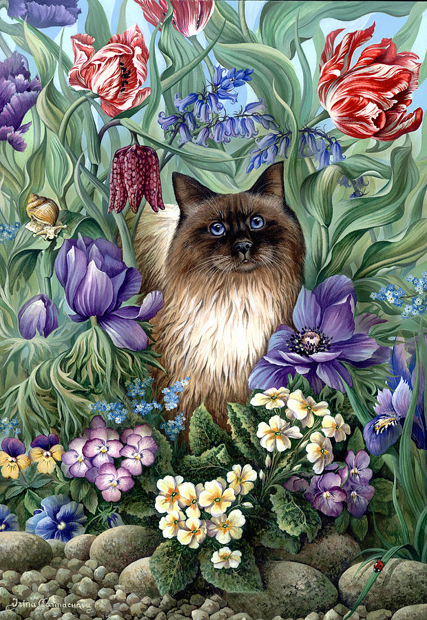 Ragdoll Photograph - Spring Cat by MGL Meiklejohn Graphics Licensing Ragdoll Photograph - Spring Cat by MGL Meiklejohn Graphics Licensing