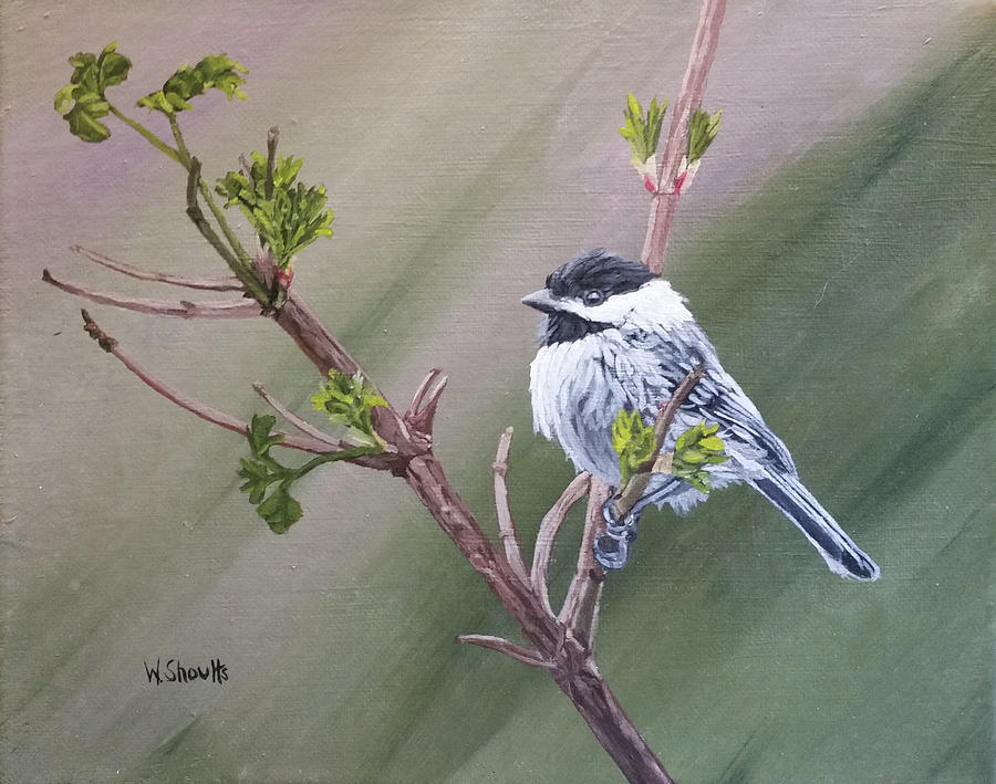 Spring Chickadee Painting by Wendy Shoults