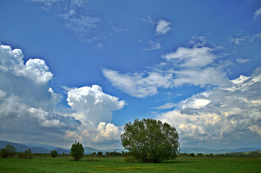 Spring clouds II Photograph by Rumiana Nikolova