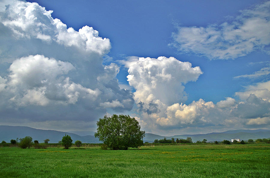 Spring clouds Photograph by Rumiana Nikolova