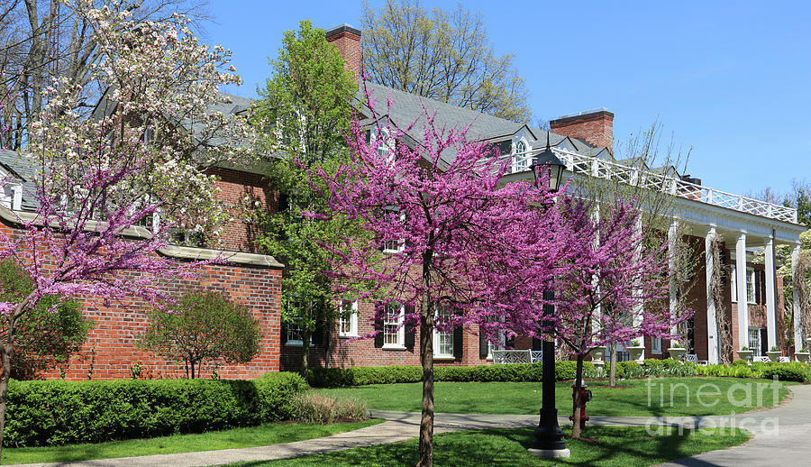 Spring Color at Stranahan Manor House 0632 Photograph by Jack Schultz