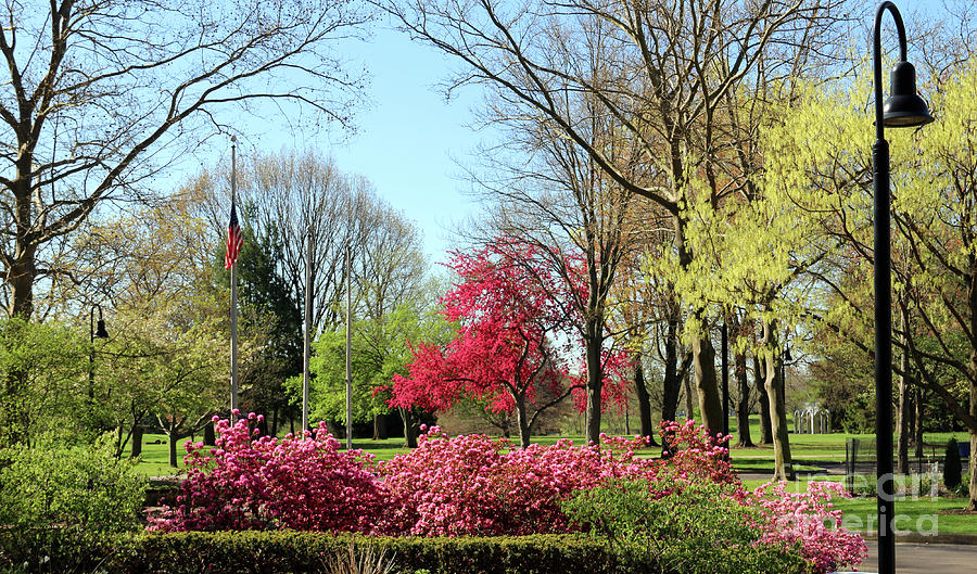 Spring Color Toledo Botanical Gardens 0592 Photograph by Jack Schultz