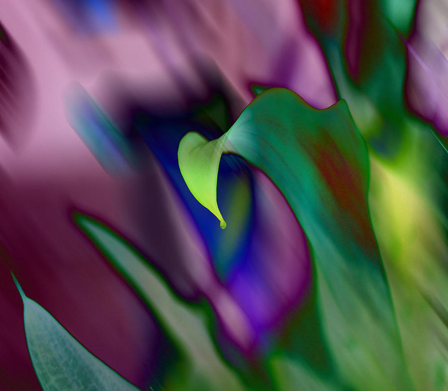 Spring Digital Art - Spring colors 1 by Evelyn Patrick