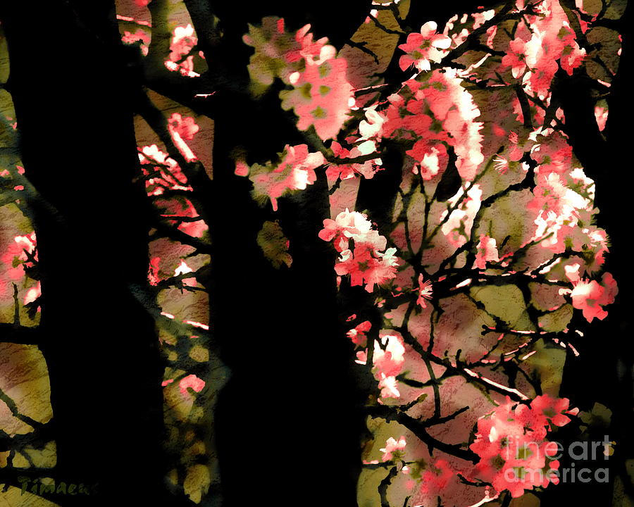Spring Colors 2 Digital Art by Tim Richards