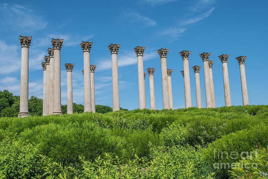 Spring Arboretum Columns 3/4 view Photograph by Clark DeHart Fine Art