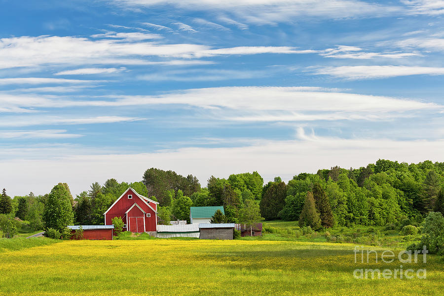 Spring Country Landscape Photograph by Alan L Graham