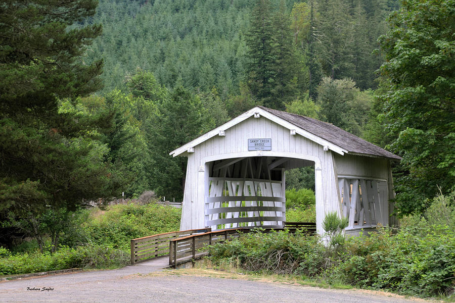 Tree Photograph - Spring Creek Covered Bridge Chiloquin Oregon by Barbara Snyder