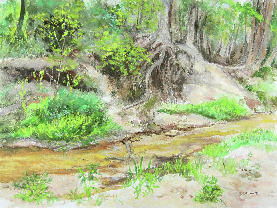 Spring Creek during Texas drought 01 Painting by TD Wilson