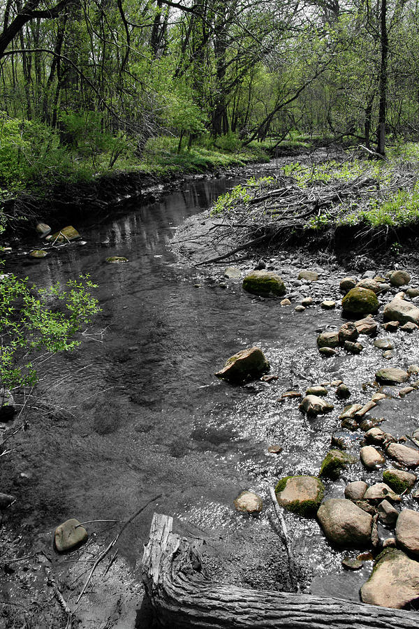 Spring Creek Photograph by Dylan Punke