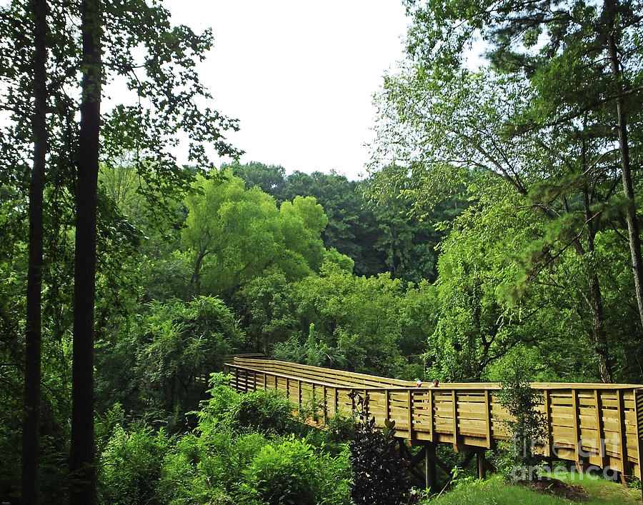 South Peachtree Creek Trail at Druid Hills Atlanta Photograph by Lizi Beard-Ward
