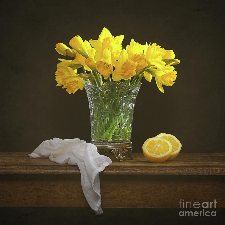 Spring Photograph - Spring Daffodil Flowers by Amanda Elwell
