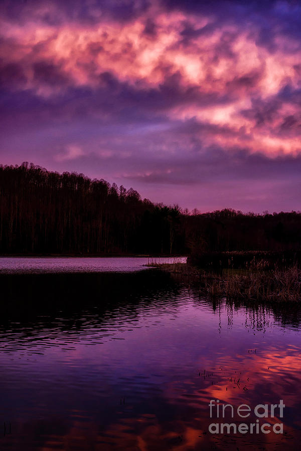 Spring Dawn on the Lake Photograph by Thomas R Fletcher
