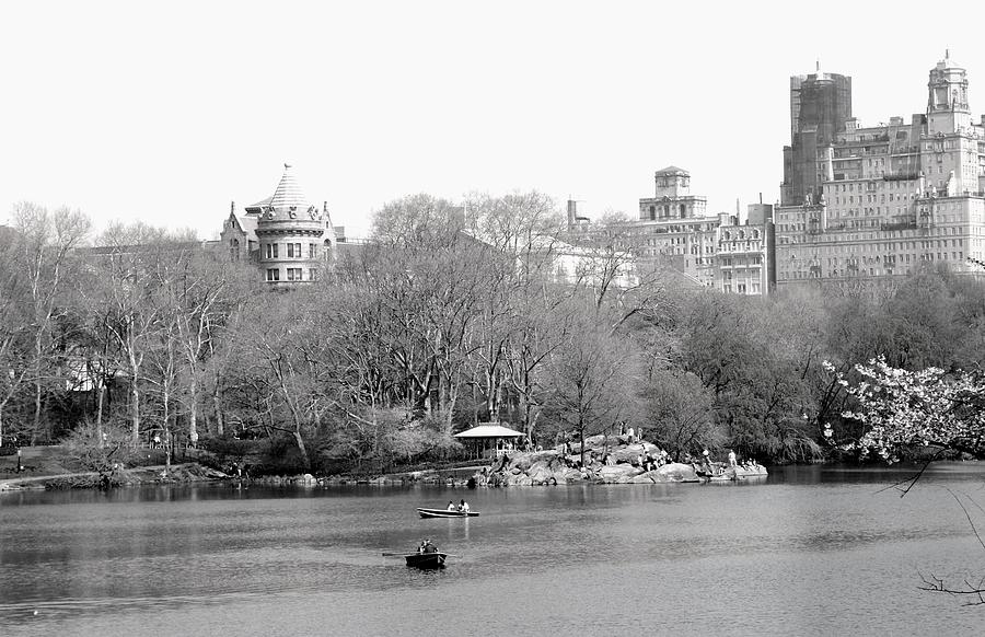 Spring Day in Central Park in Black and White Photograph by Living Color Photography Lorraine Lynch