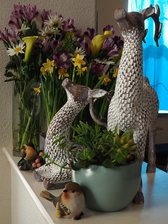 Spring Decor Photograph by Richard Thomas Spring Decor Photograph by Richard Thomas
