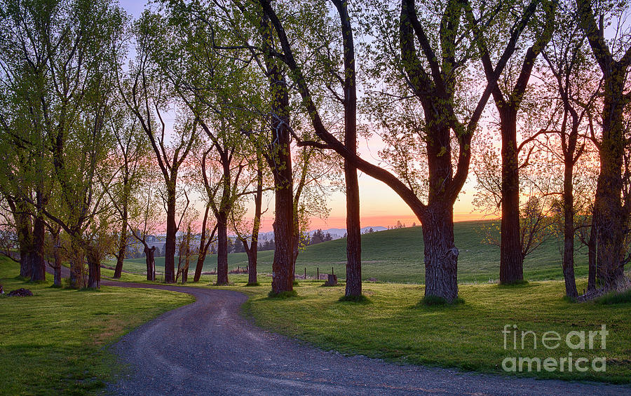 Spring Drive Photograph by Idaho Scenic Images Linda Lantzy
