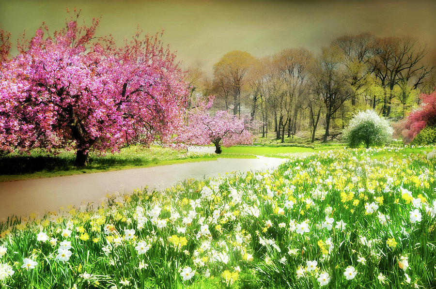 Spring Fantasy Photograph by Diana Angstadt