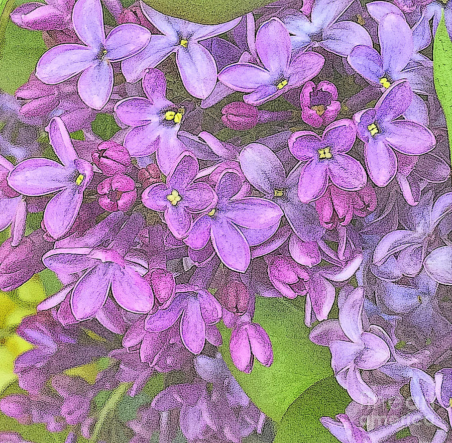 Spring Fantasy - Lilac Purple - variation Photograph by Miriam Danar