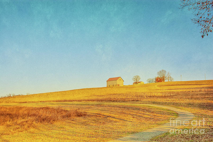 Spring Digital Art - Spring Farm and Fields by Randy Steele