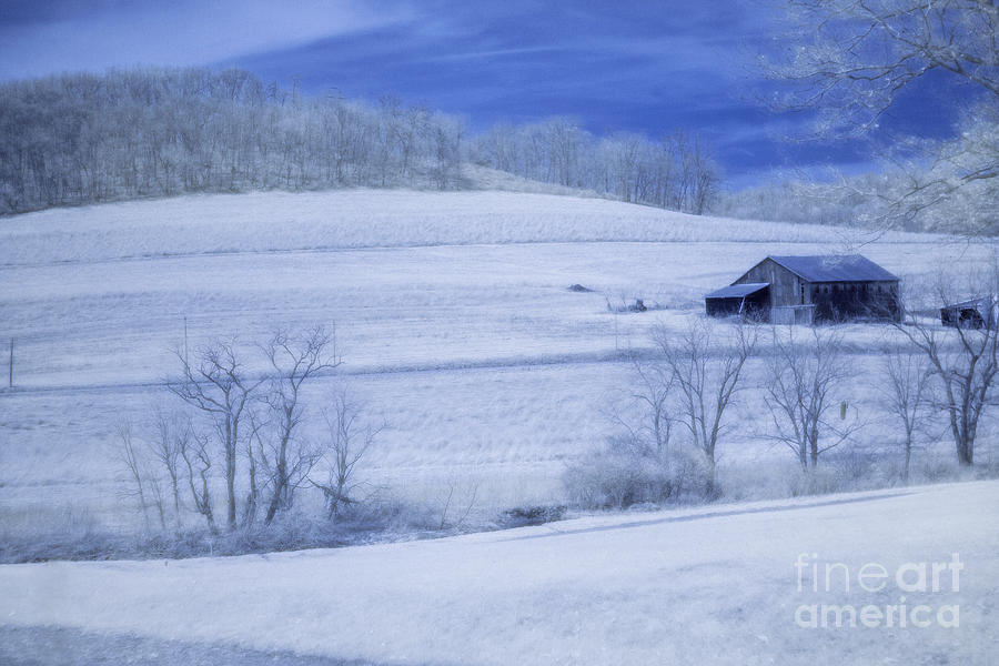 Spring Farm Infrared  Photograph by Randy Steele