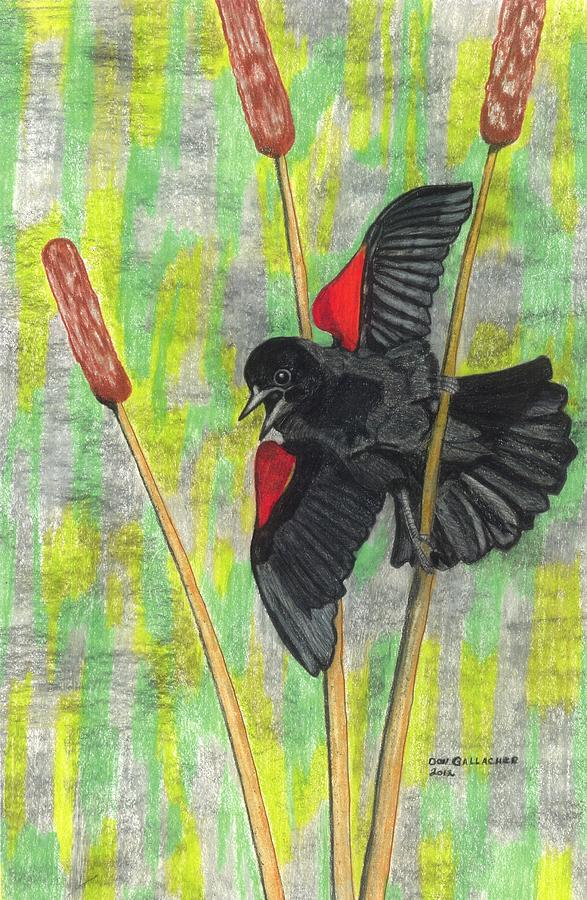 Blackbird Drawing - Spring Fever by Don  Gallacher