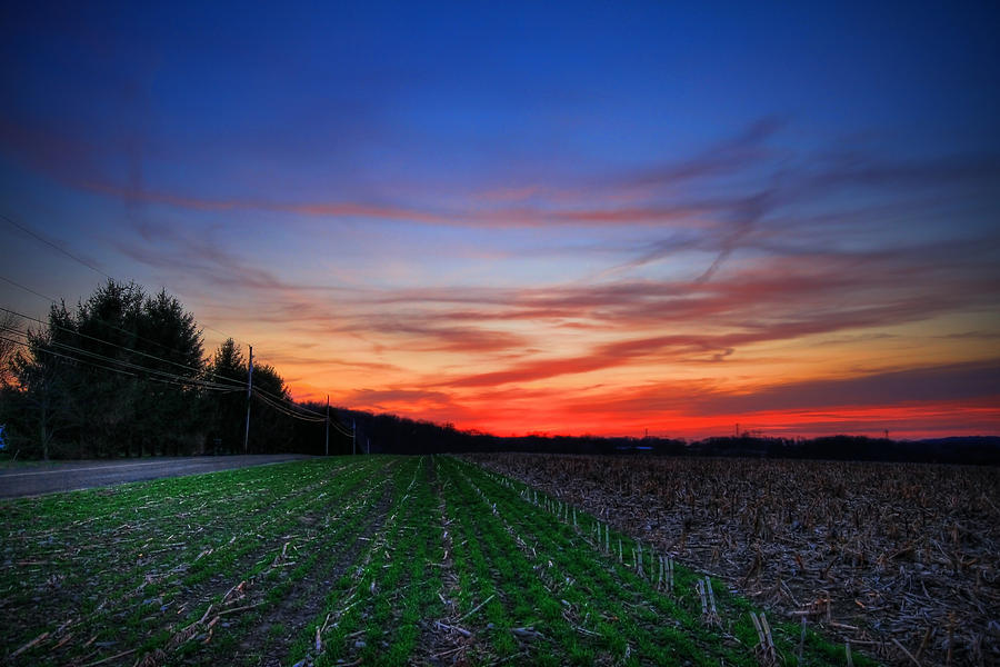 Sunset Photograph - Spring Field by Evelina Kremsdorf