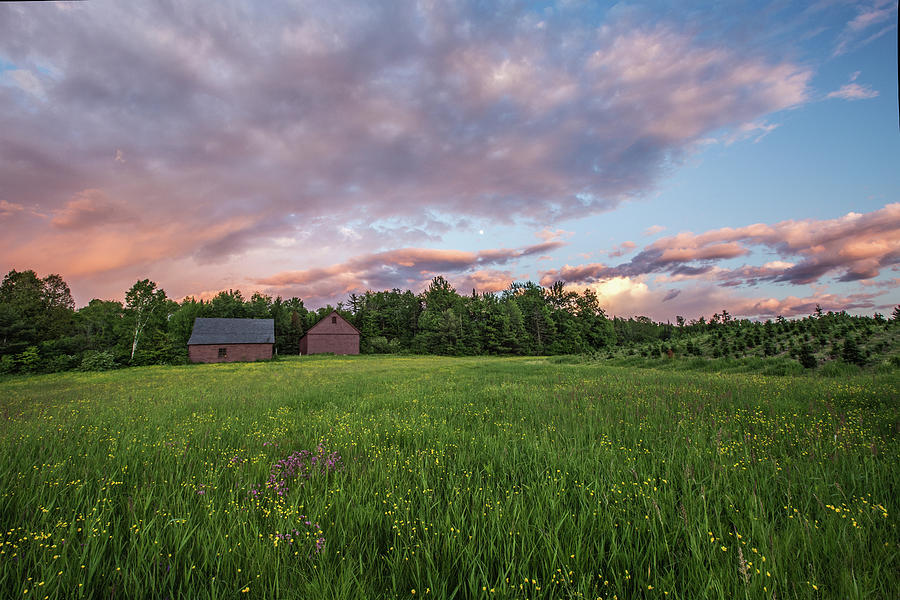 Spring Field Sunset Photograph by White Mountain Images