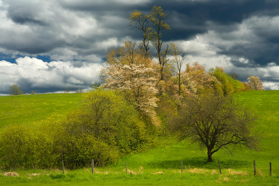 Spring Fields Awakening Photograph by Irwin Barrett