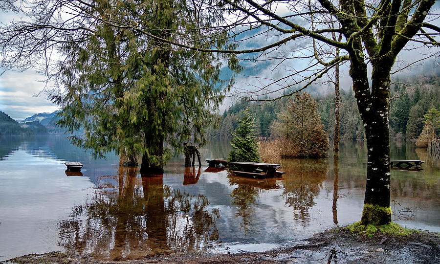 Spring flood Photograph by Alex Lyubar
