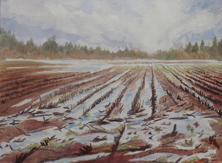 Spring Flood Painting by Jenny Armitage