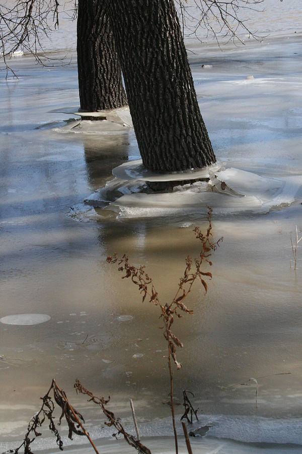 Spring Flood Photograph by Mary Mikawoz