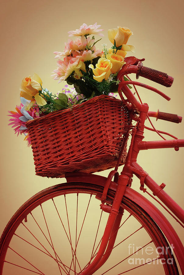 Spring Flower Bike Photograph by Carlos Caetano