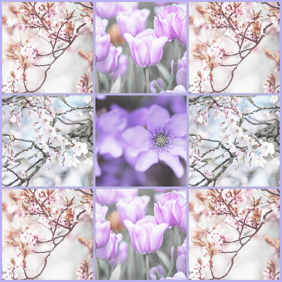 Spring Flower Collage. Shabby Chic Collection  Photograph by Jenny Rainbow