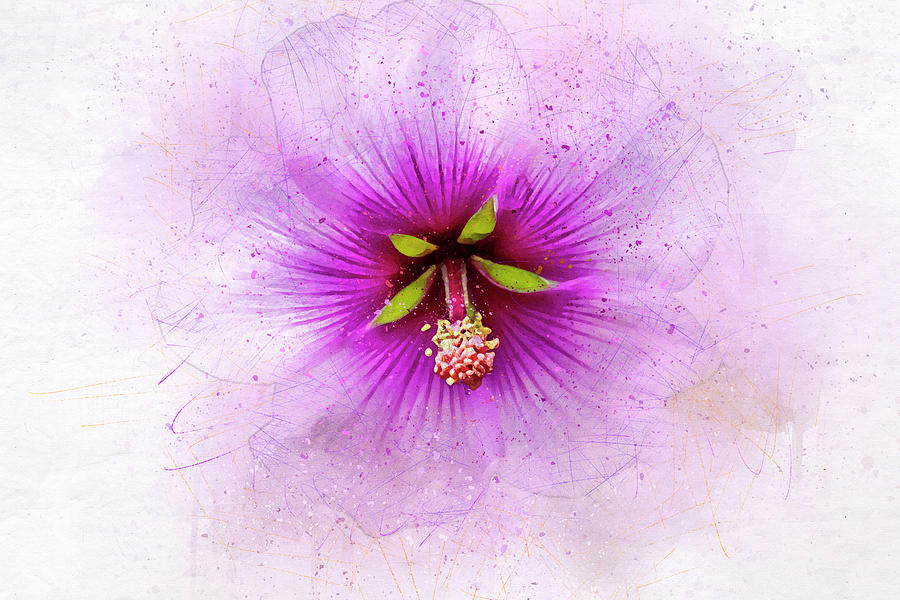Spring Flower Frill Digital Art by Terry Davis